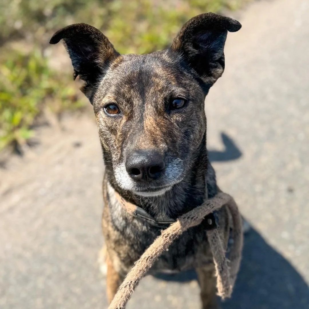 Lucy 3 to 8 years old