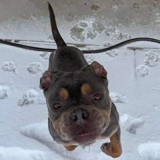 Burgess 3 to 8 years old