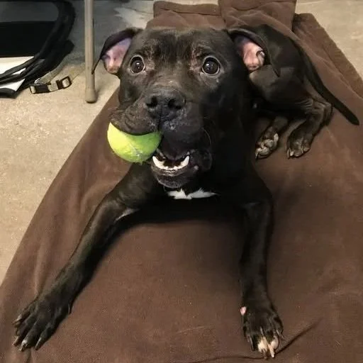 Gumby 1 to 2 years old