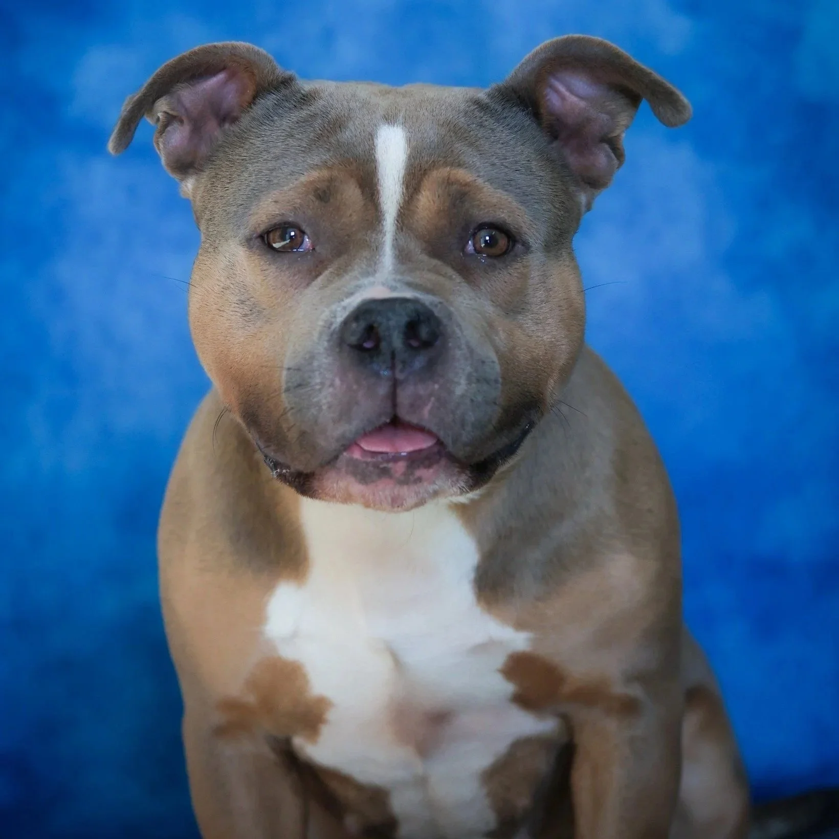 Calliope 3 years old