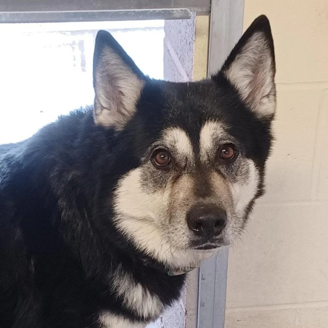 Aurora 3 to 8 years old