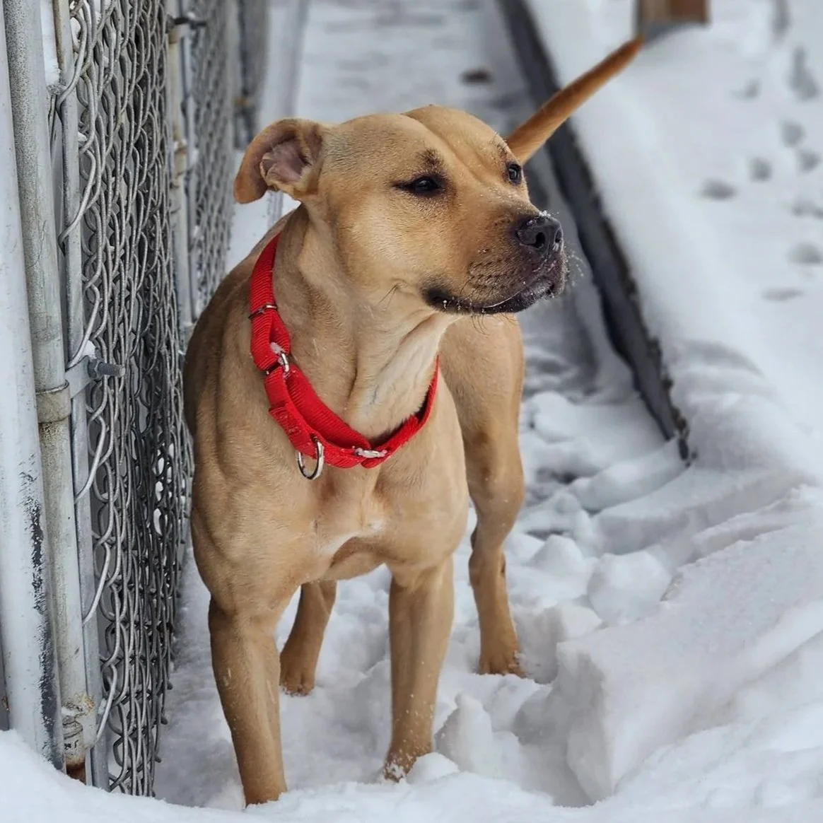 Moon 3 to 5 years old