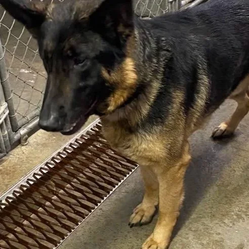 No Name - 3 years Old