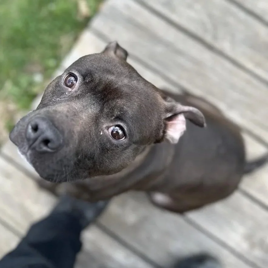 River 3 to 8 years old