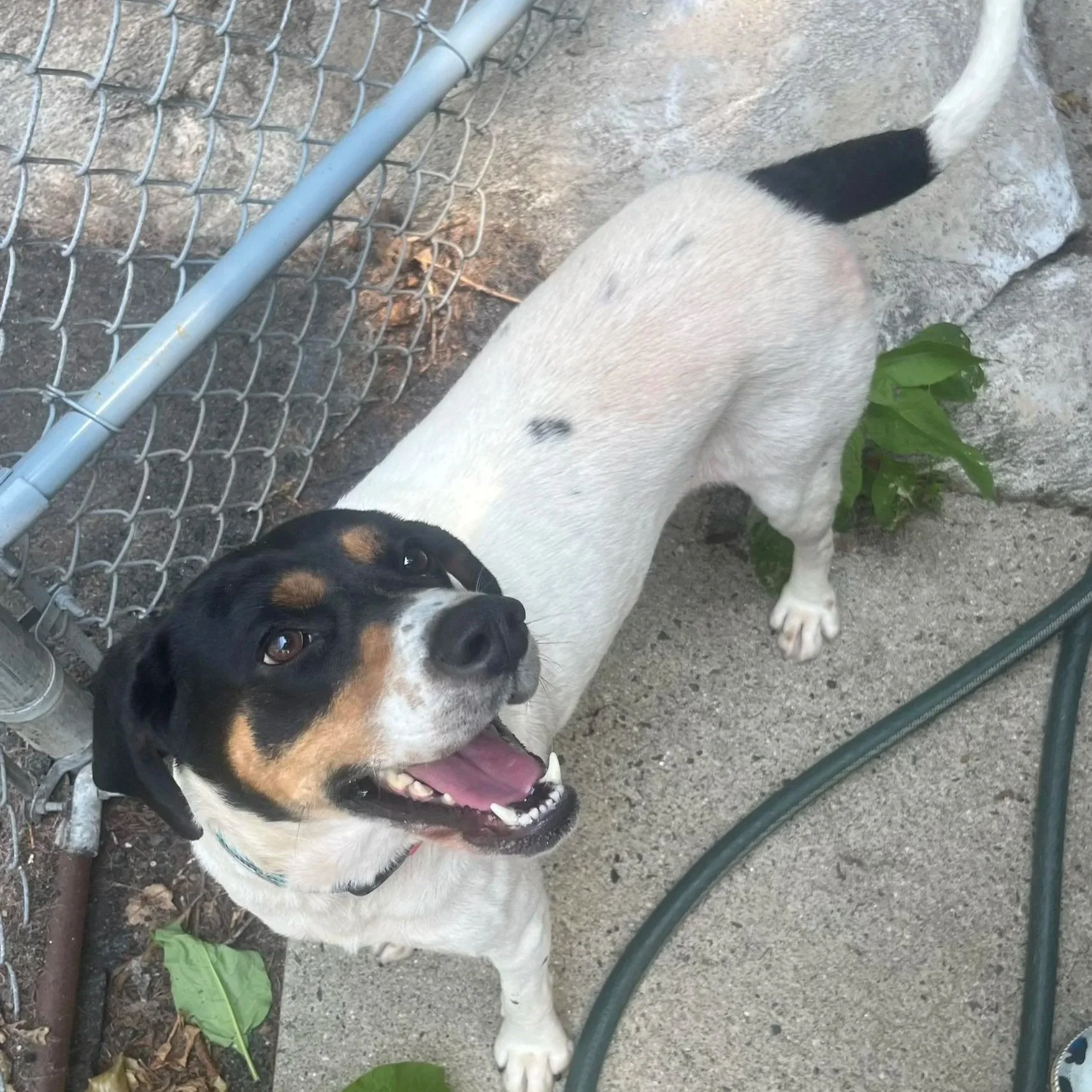 Summer - Call For Details