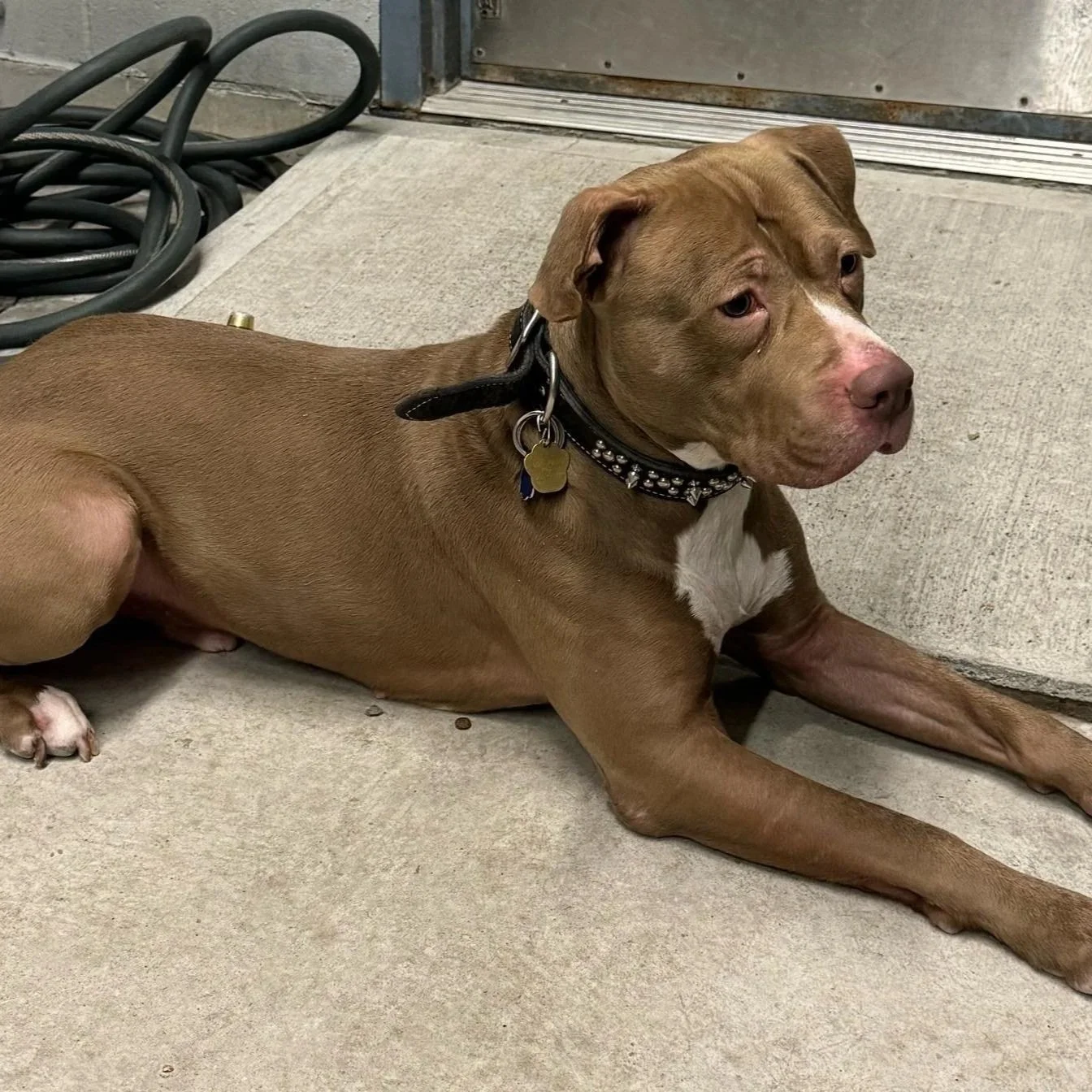 Denny 3 to 4 years old