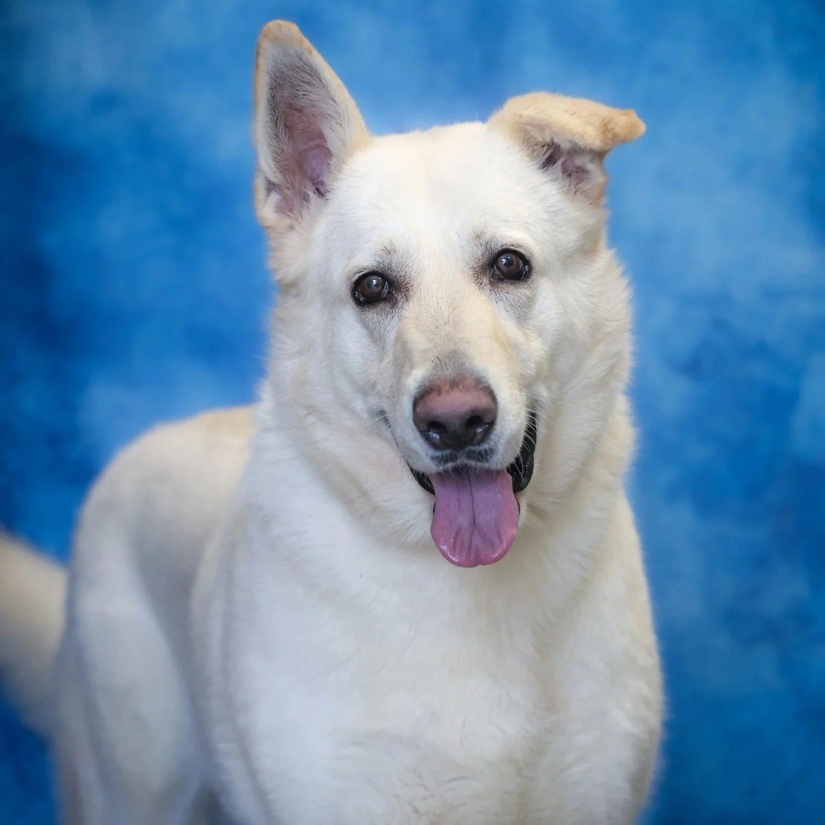 Rhiannon 3 years old