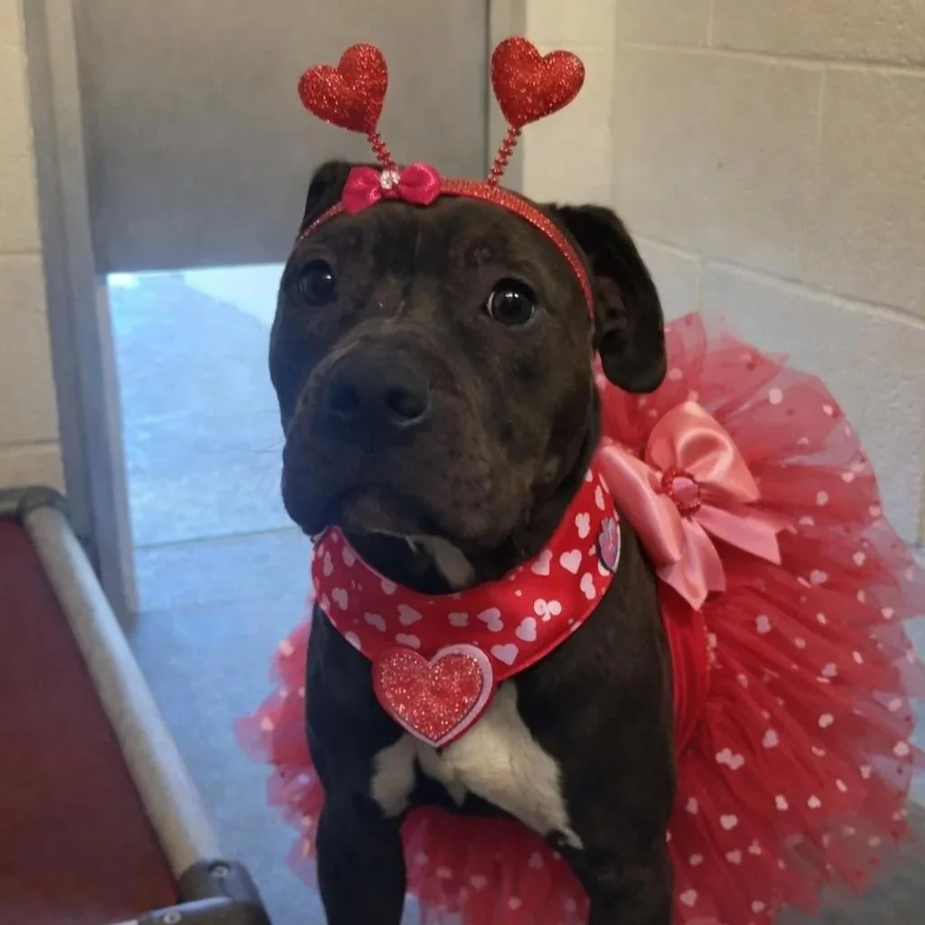 Edna - Call for details