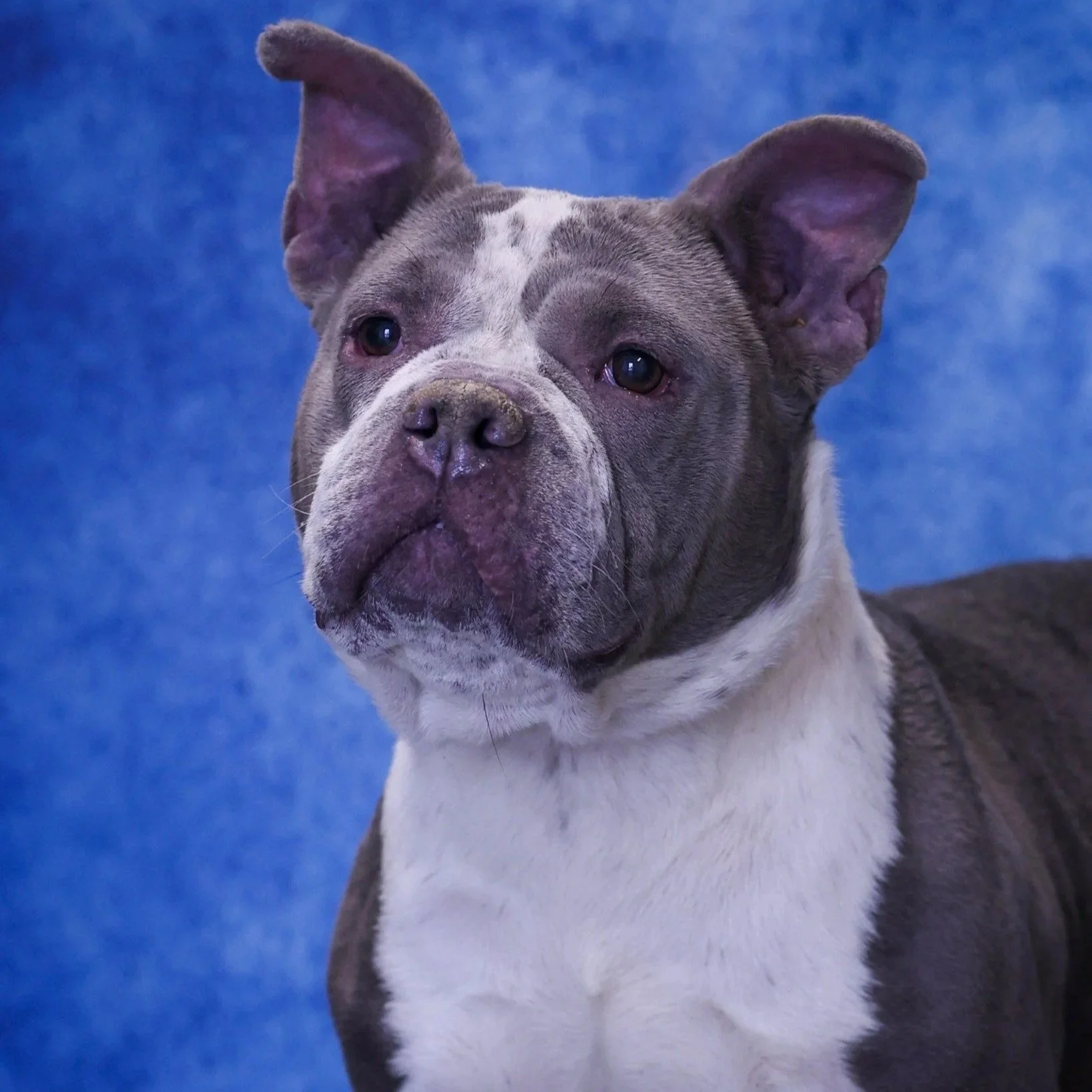 Banana Bread 3 years old