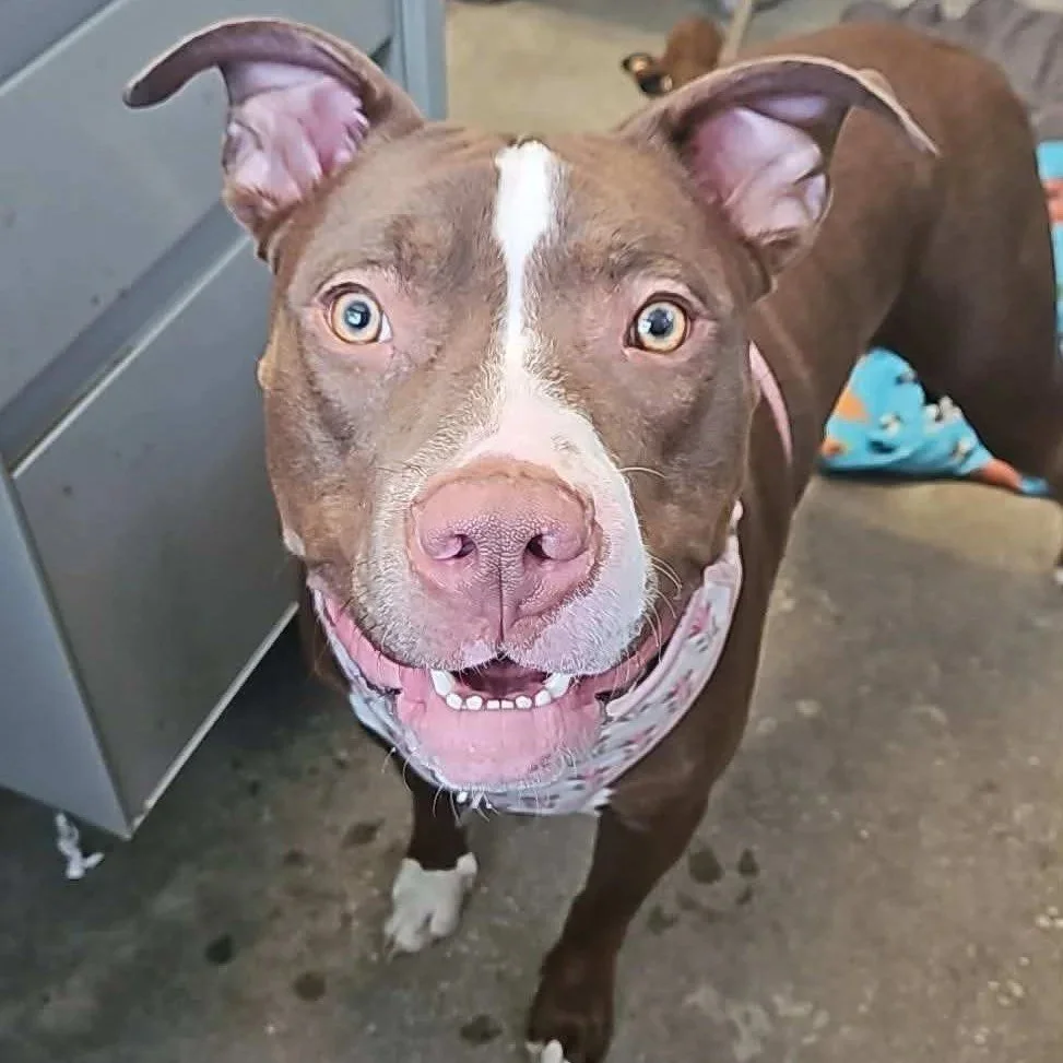 Sarabi under 1 year old