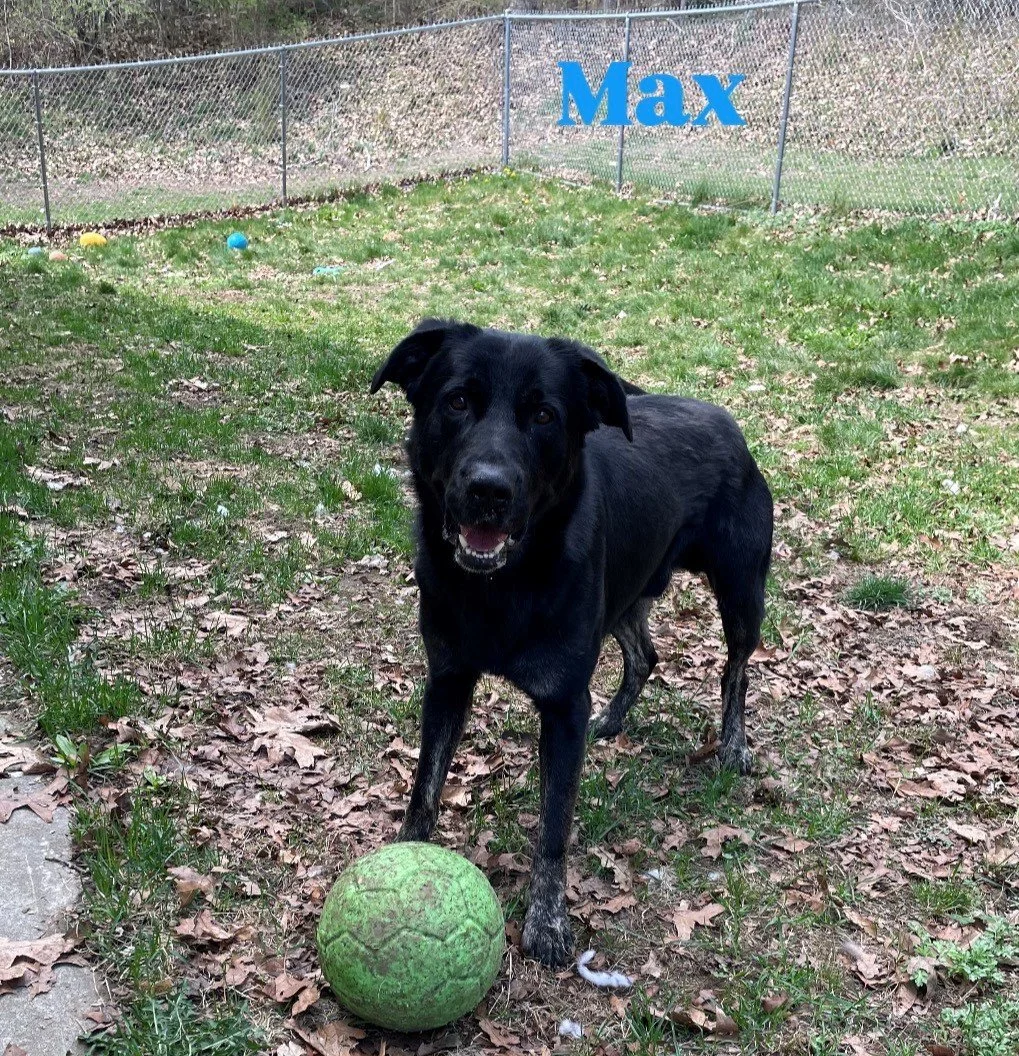 Max