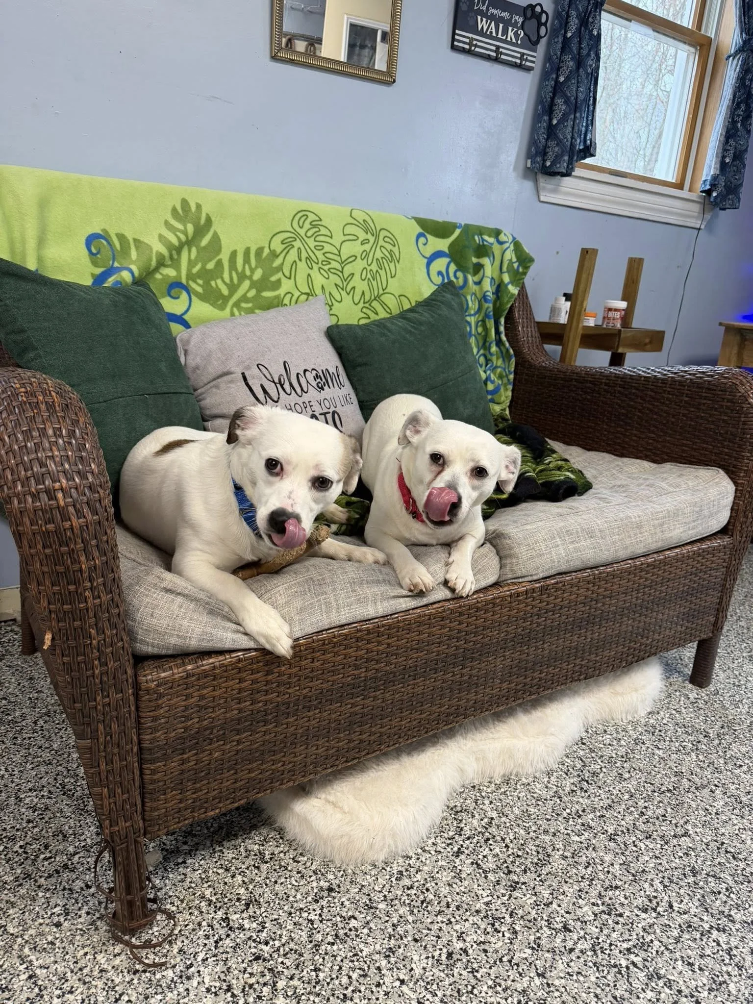 Dottie and Herschel