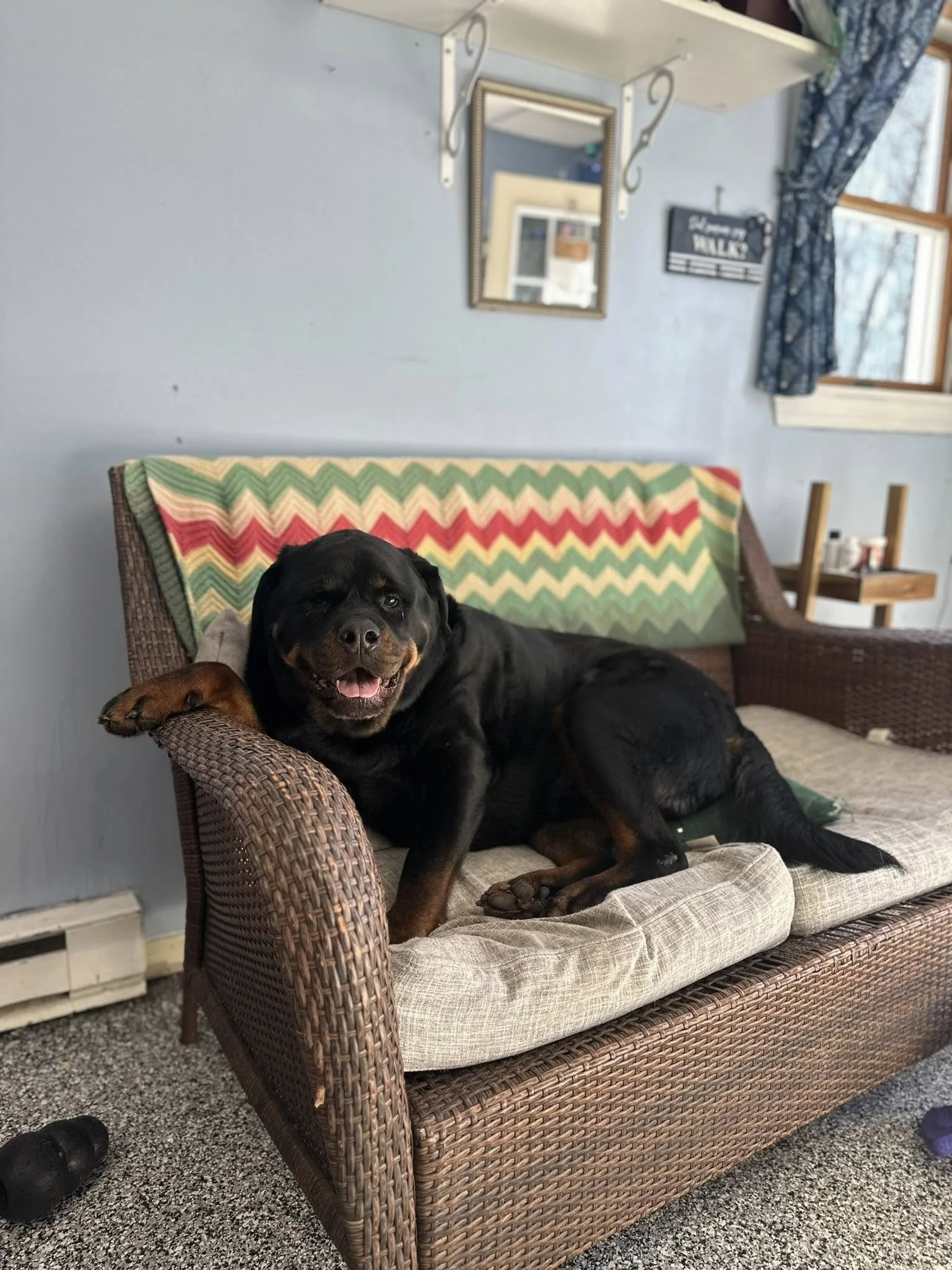 Mojo