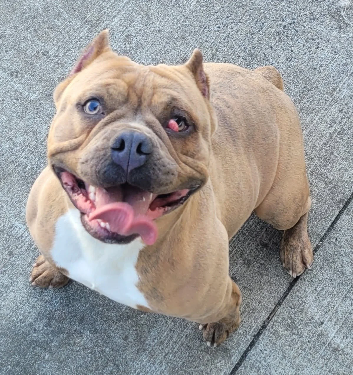 Nena