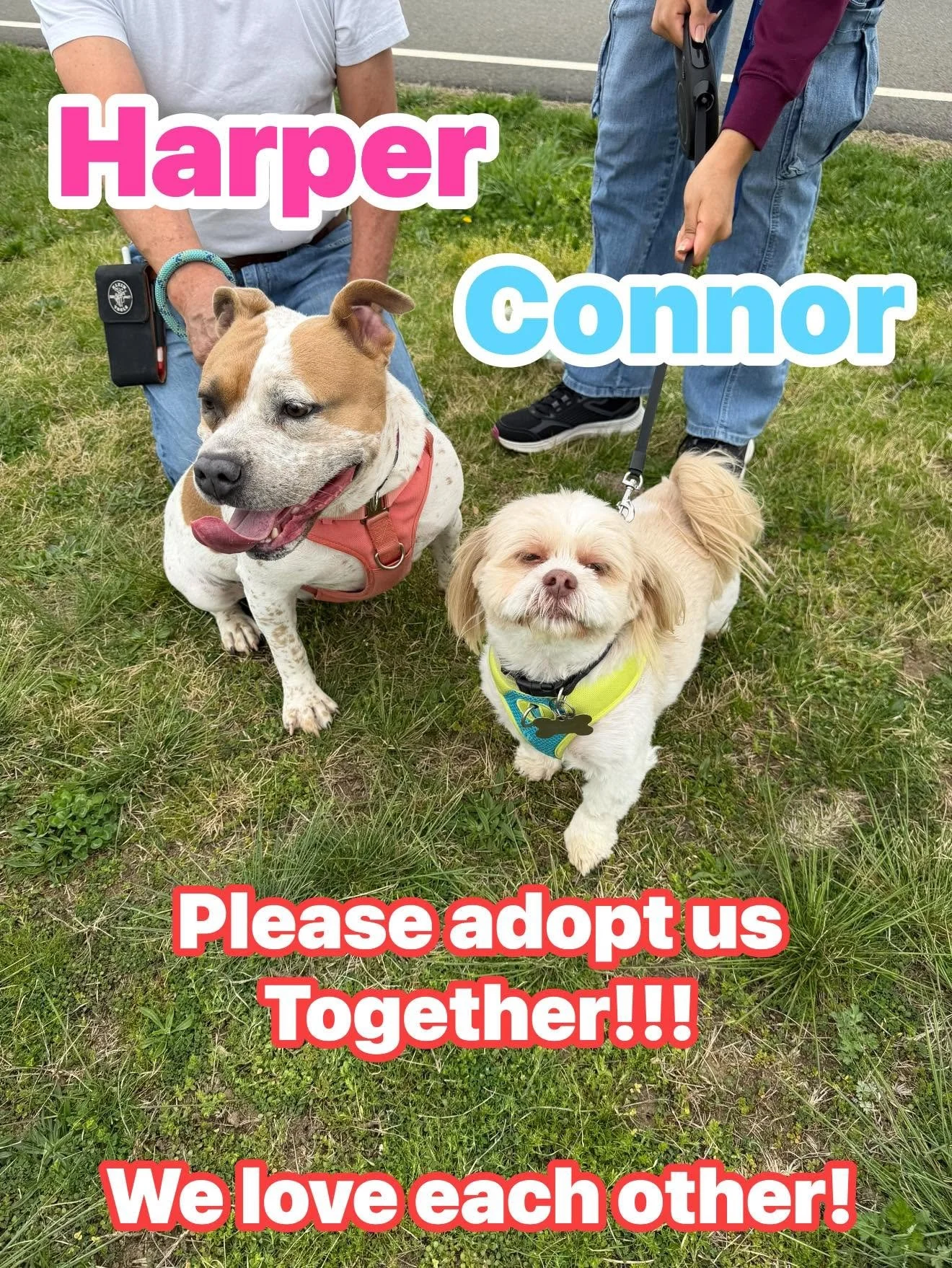 Harper and Connor