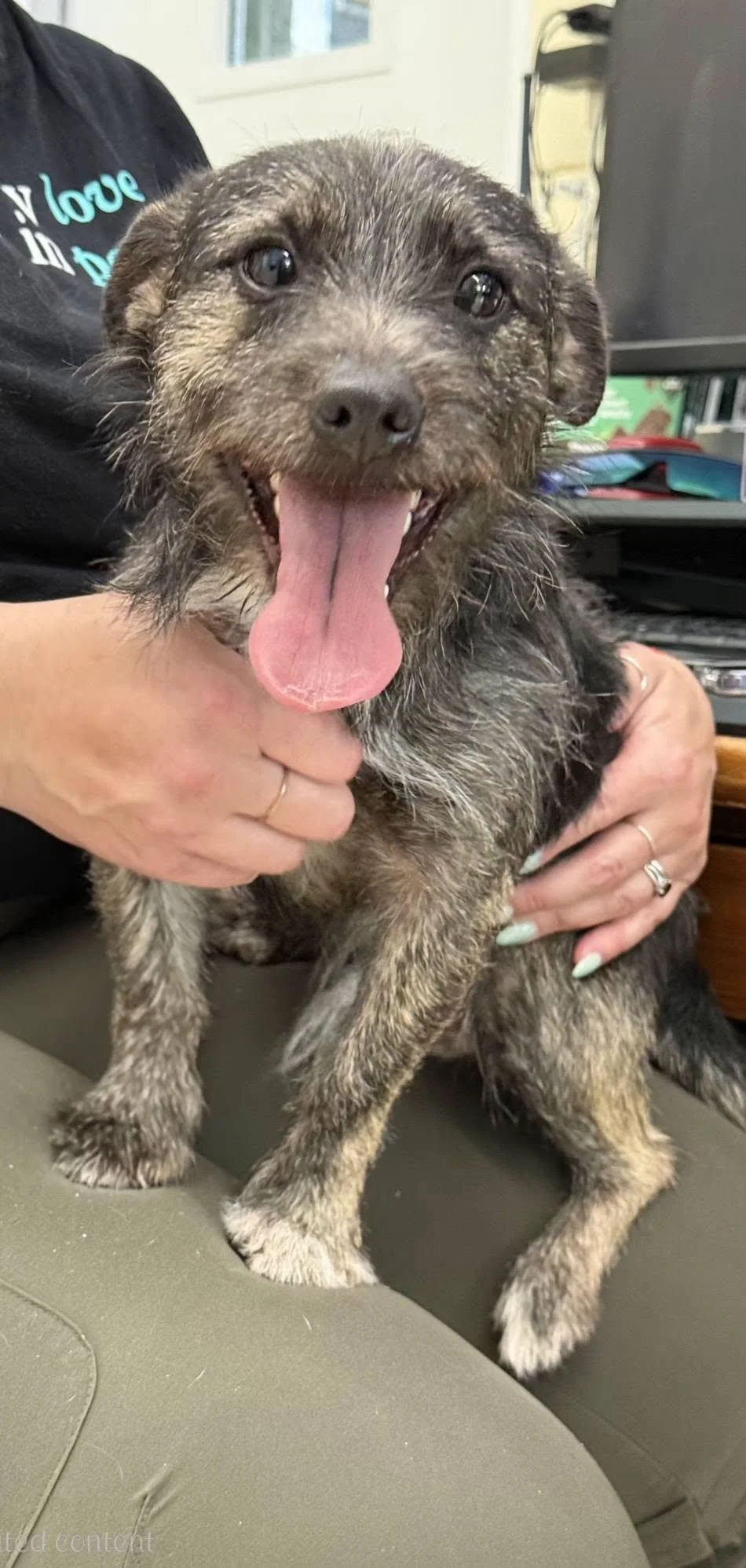 Scrappy Do