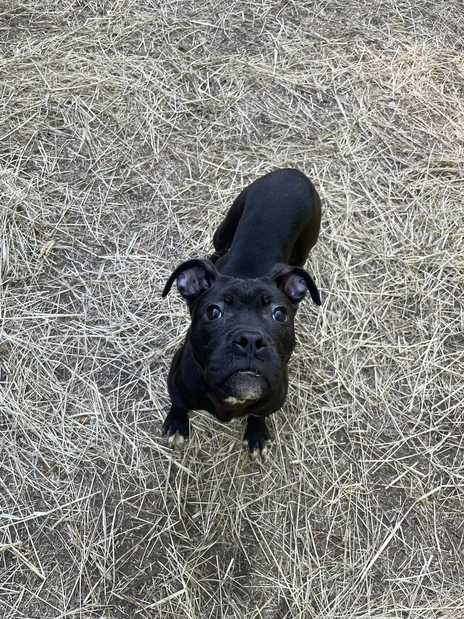 Sara
