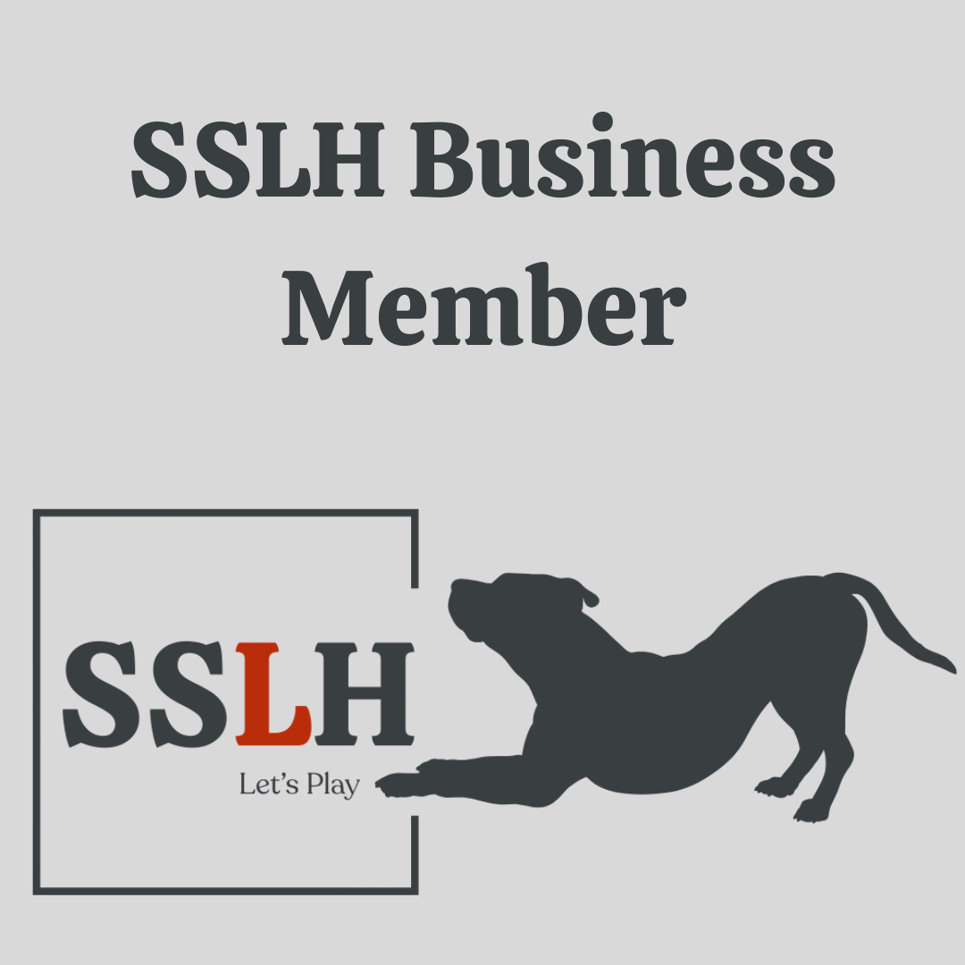 SSLH Business Membership - One Time Payment - Annual Subscription