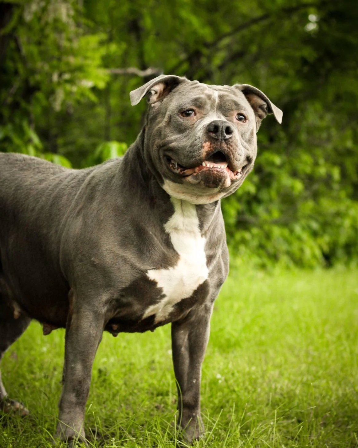 June Bug 1 to 3 years old