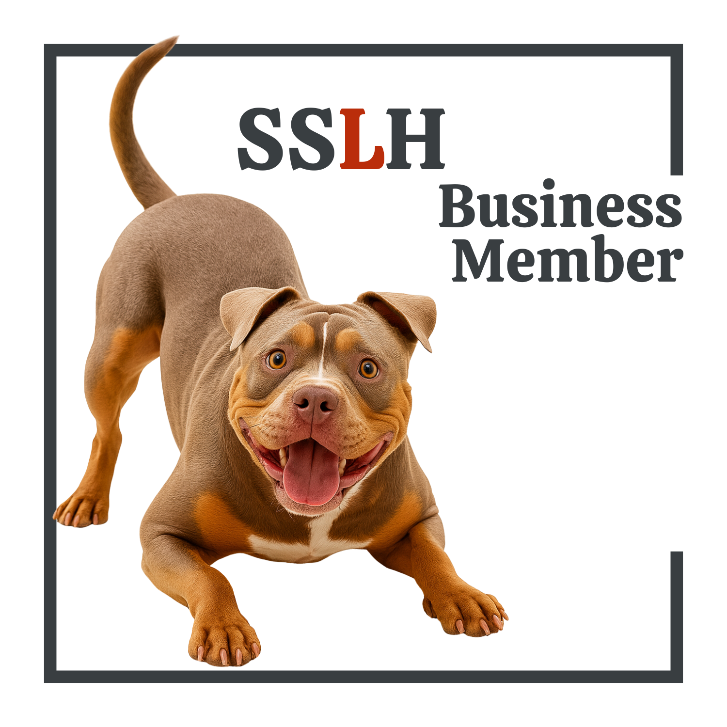 sslh business member.png (Copy) (Copy)
