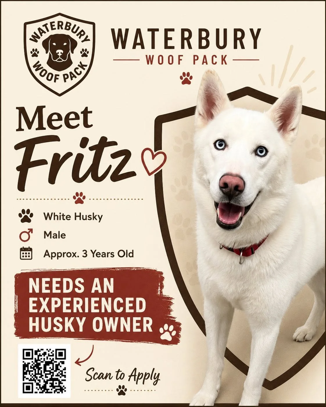 poster of a white husky