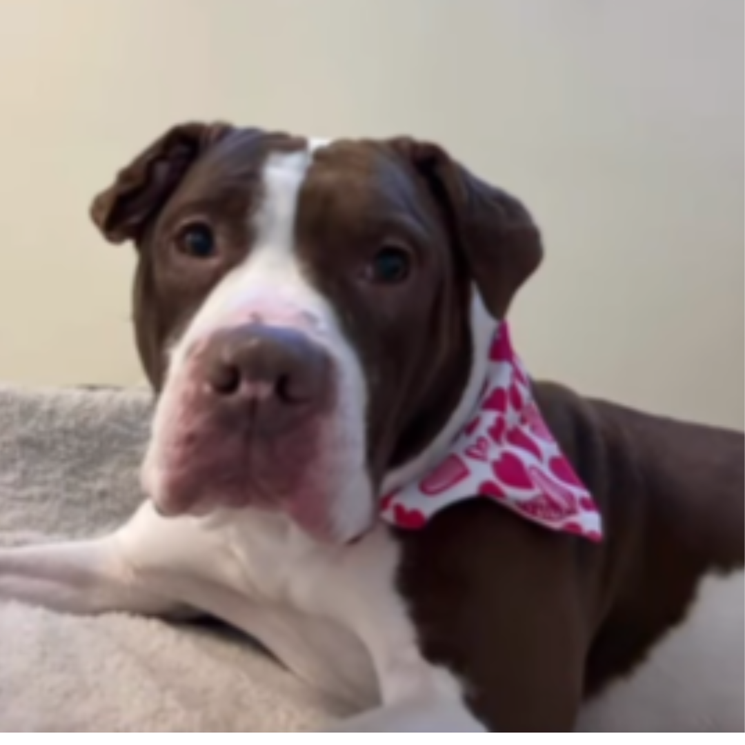 Della 3 to 4 years old