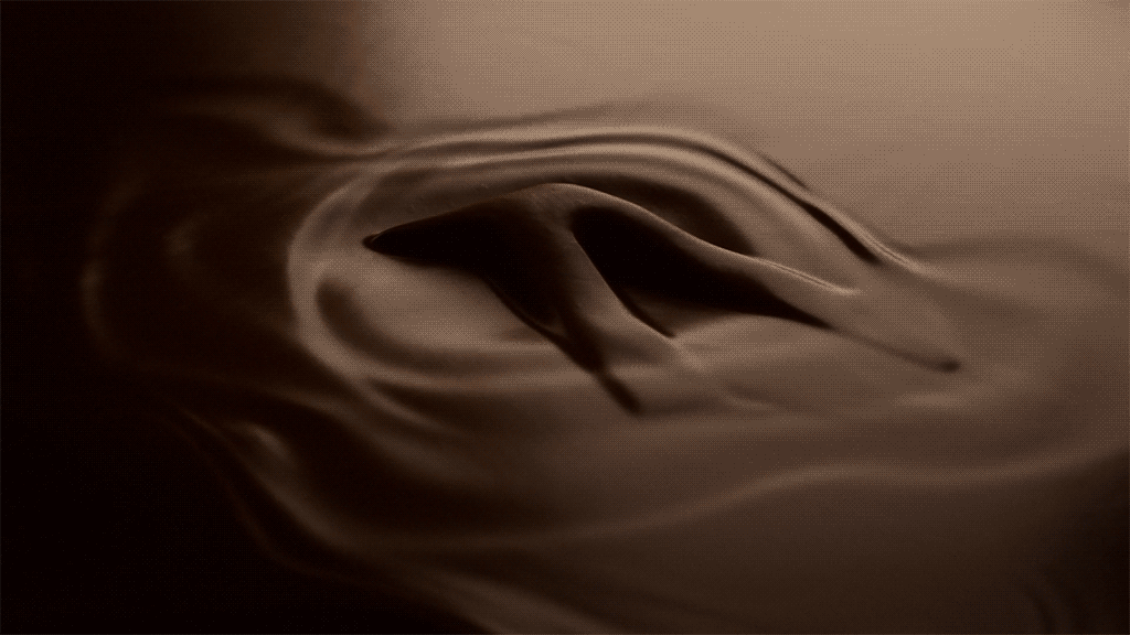 A dolphin swimming underwater with ripples around it.