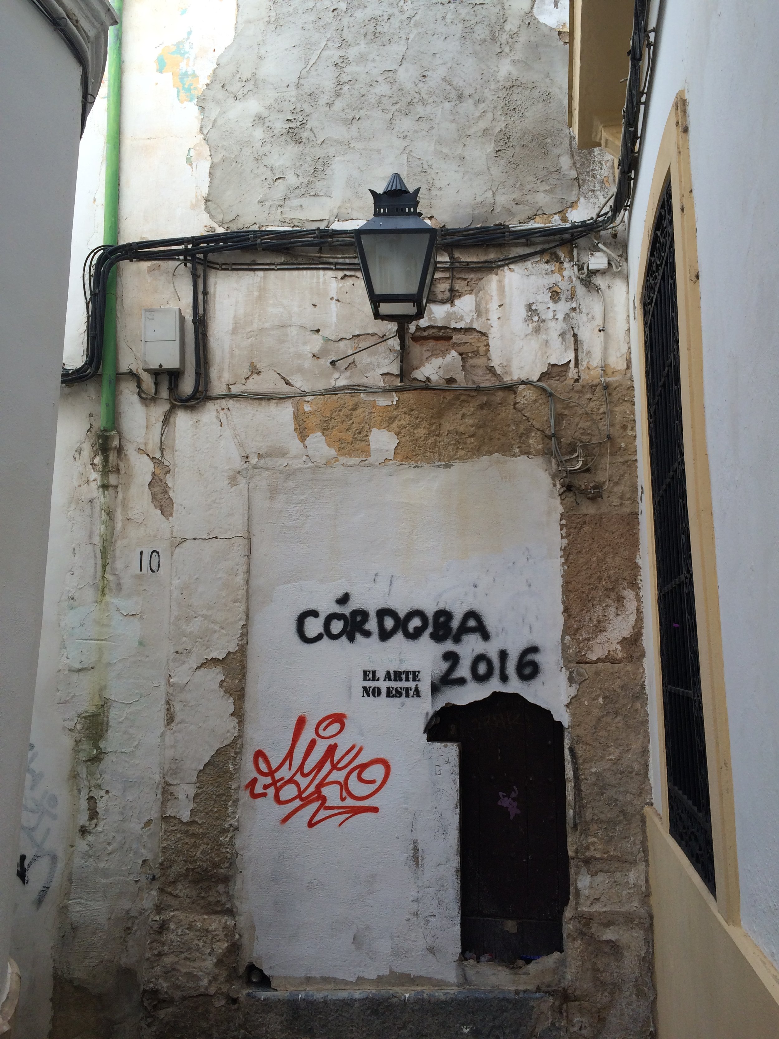 IMG_2078.jpeg