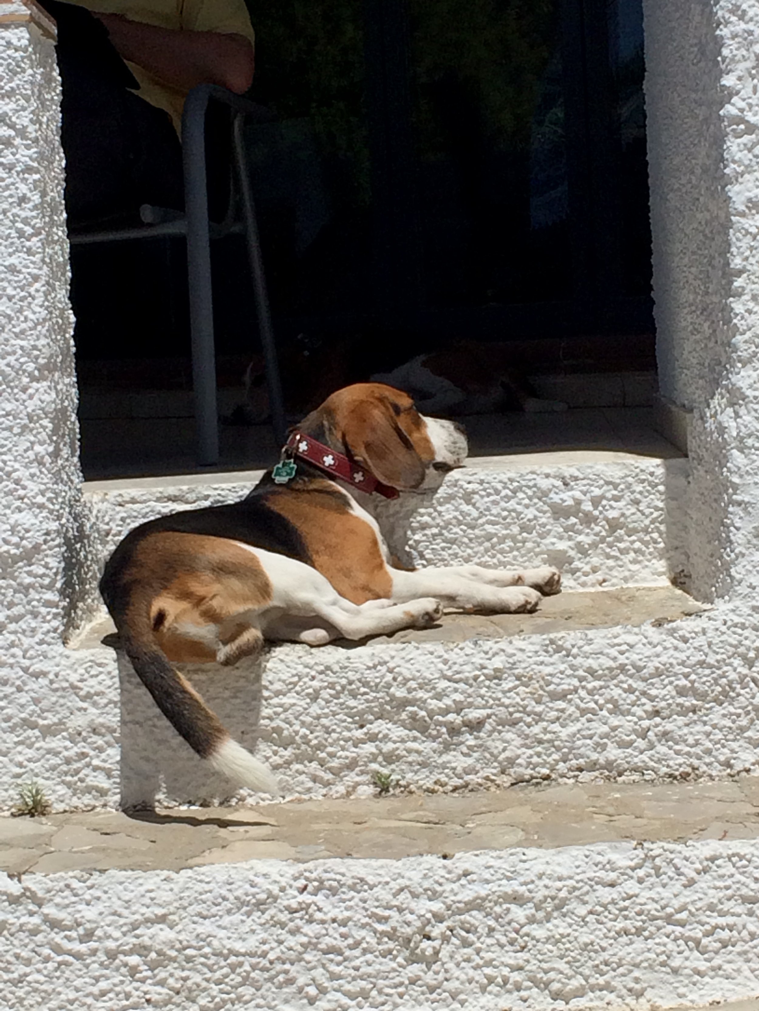 IMG_6253.jpeg