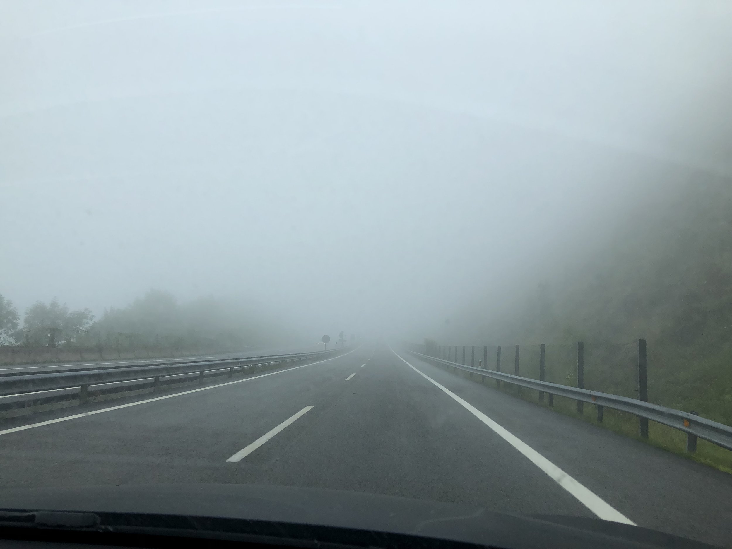 IMG_8420.jpeg