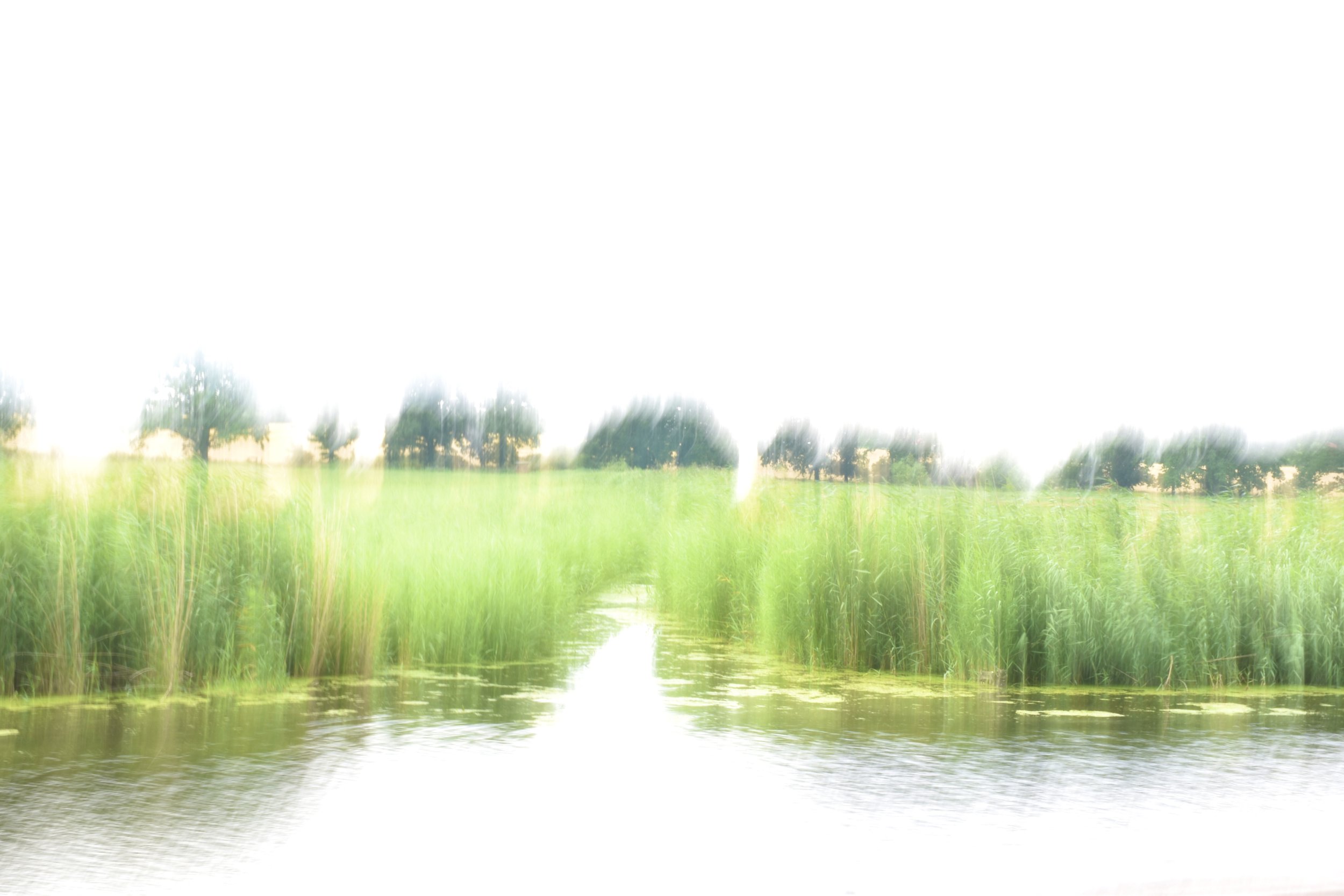 IMG_6062.jpeg