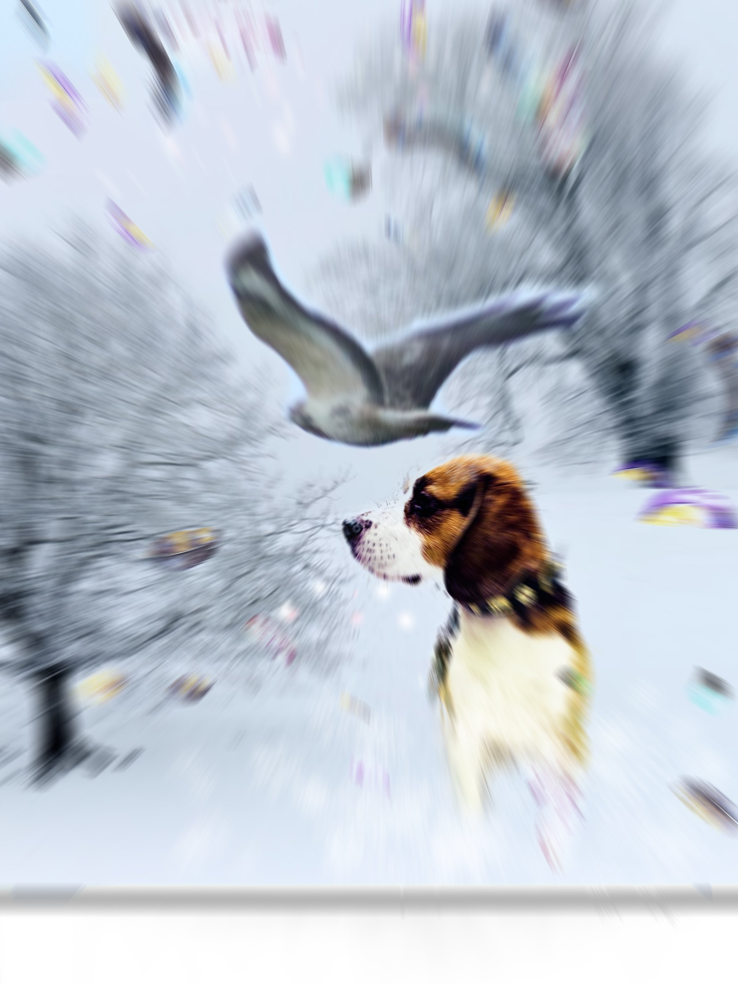 3EC35545-9E54-479C-AE3E-B4BC009F492A.jpeg