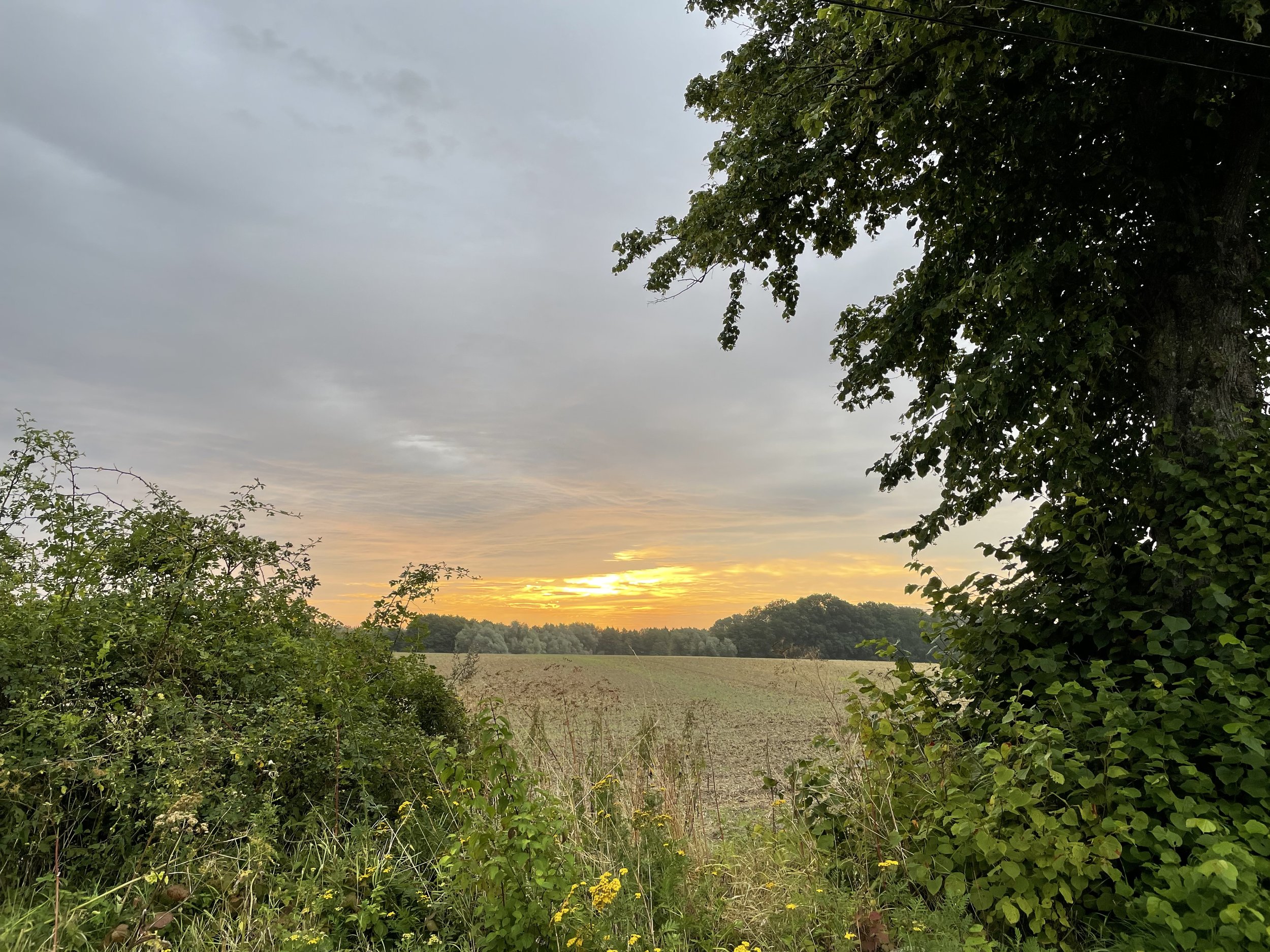 IMG_6882.jpeg