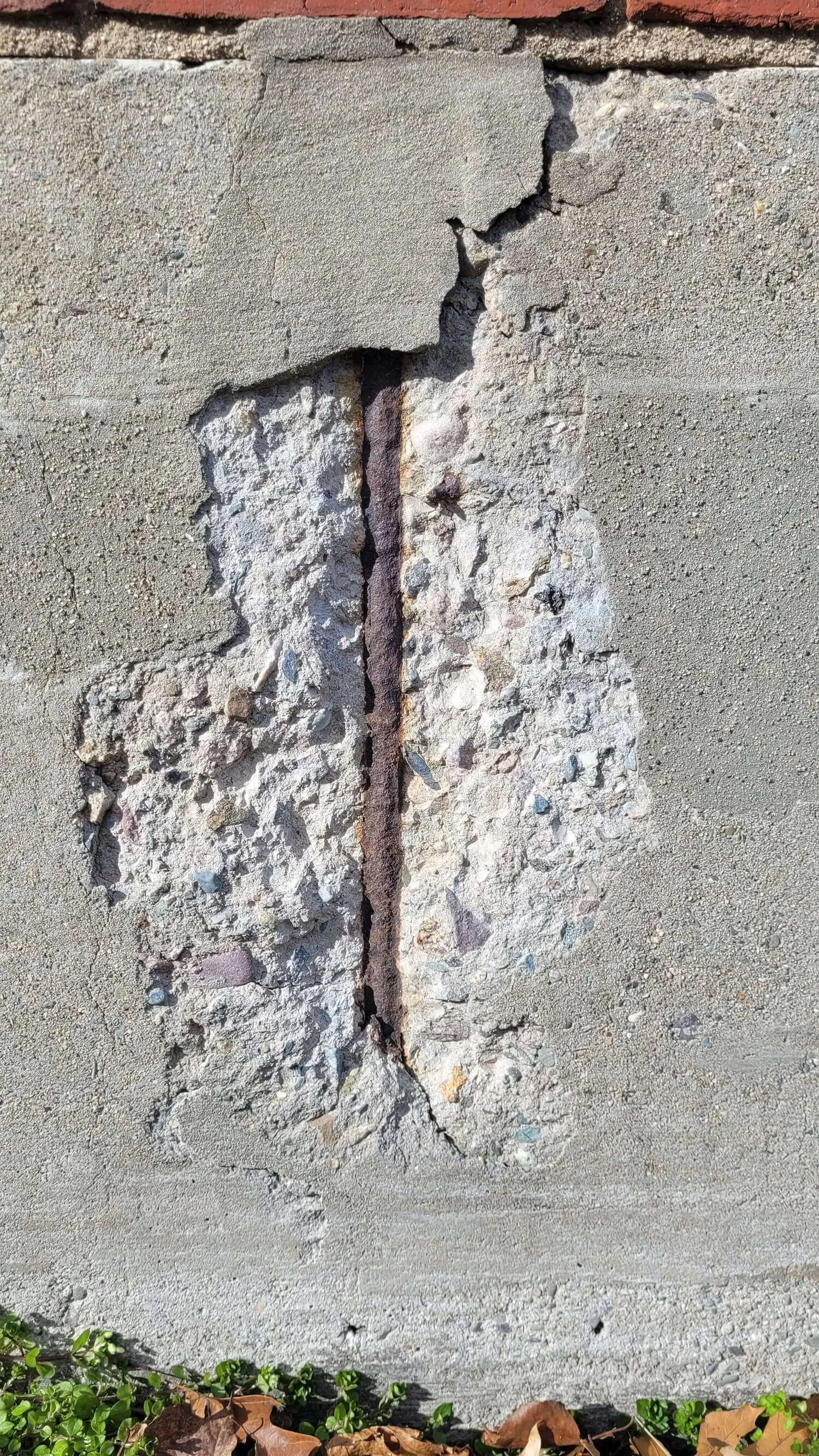 Exposed reinforced concrete showing corrosion before Andrew Plastering remedial repair work.