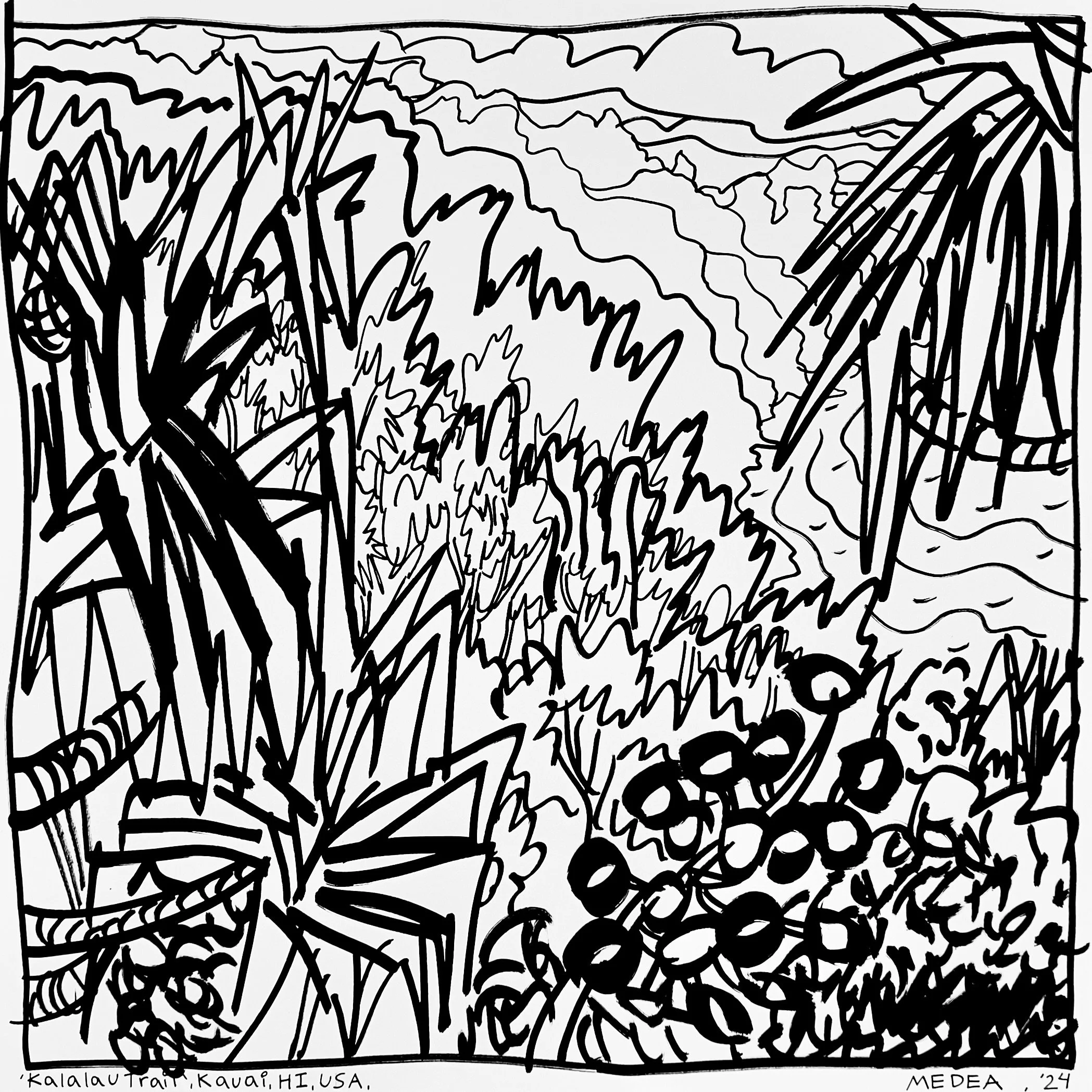 Line sketch of the Kalalau Trail in Kauai, Hawaii, USA, with various jagged and curved lines representing the landscape and vegetation, signed 'MEDEA 24' at the bottom right corner.