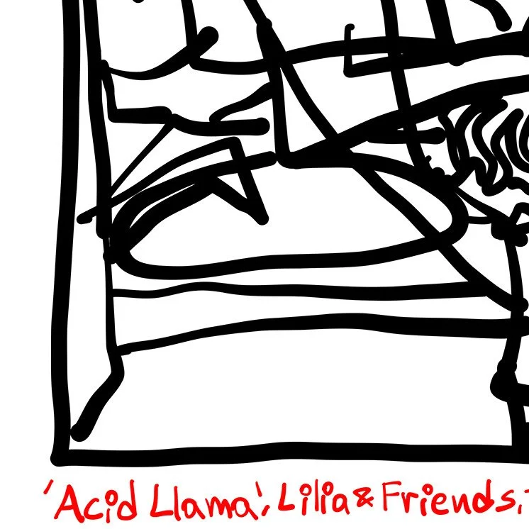 Lilia & Friends DJ Acid Llama.jpg