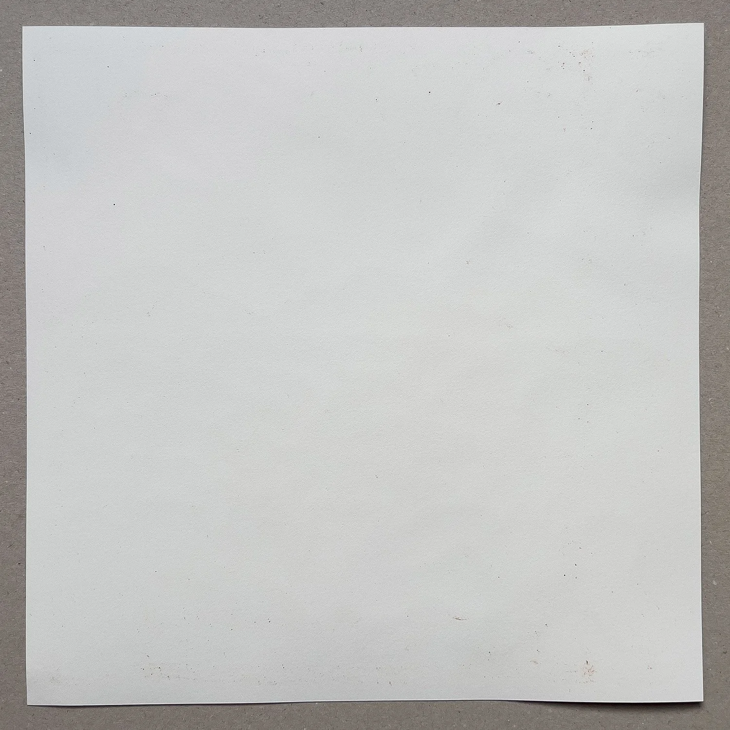 155.jpg