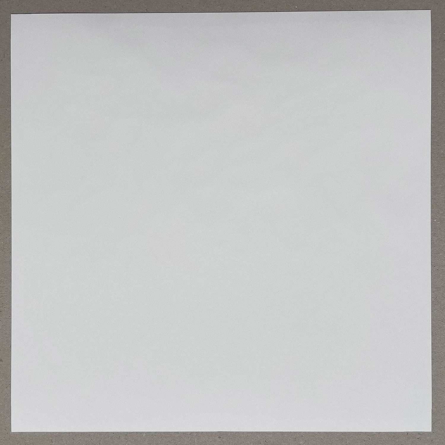 141.jpg