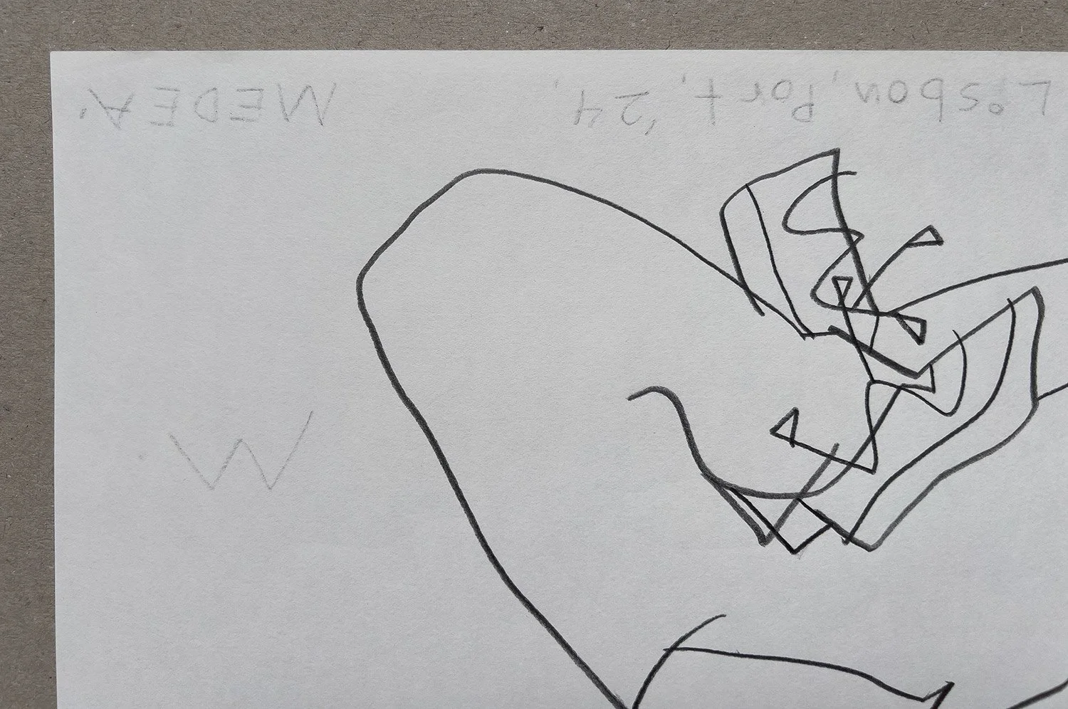 96.jpg