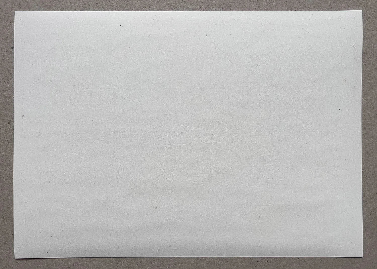 182.jpg