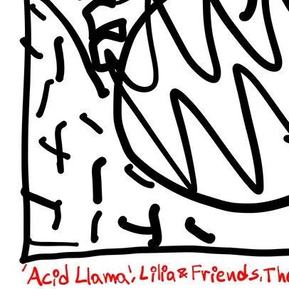Lilia & Friends DJ Acid Llama.jpg