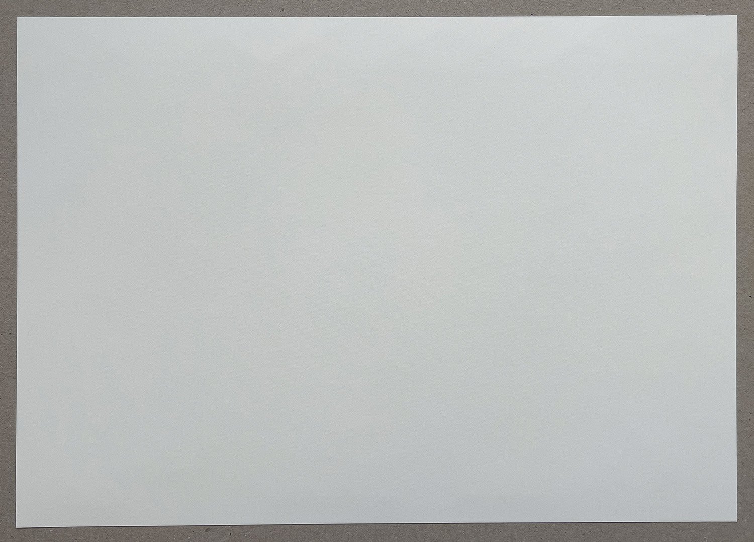 291.jpg