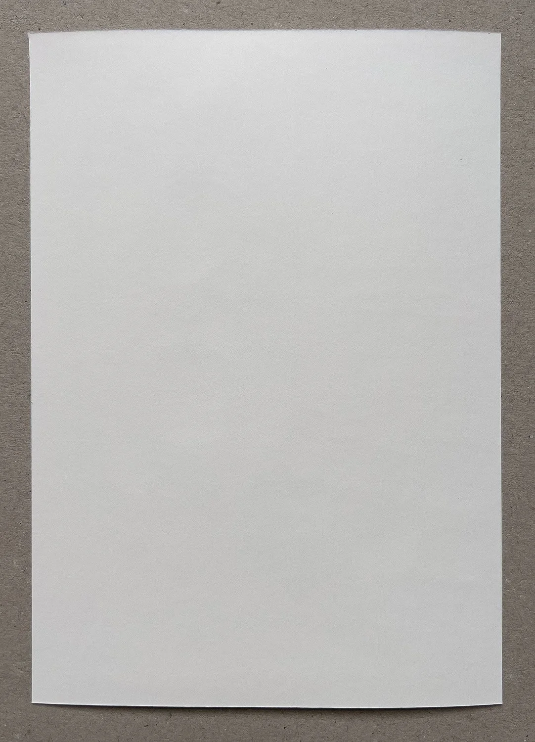 380.jpg