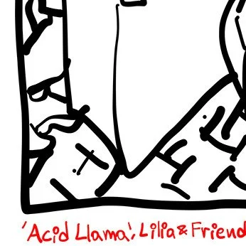 Lilia & Friends DJ Acid Llama.jpg