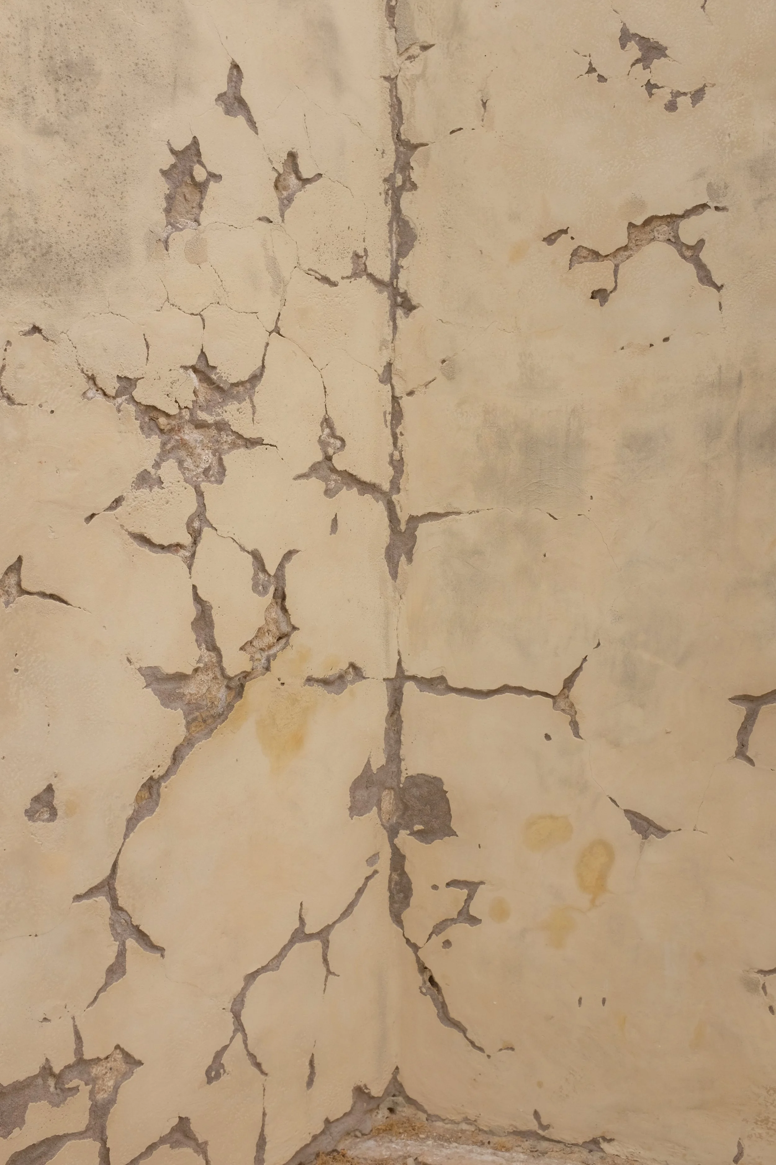 DSCF6015 - copia.JPG