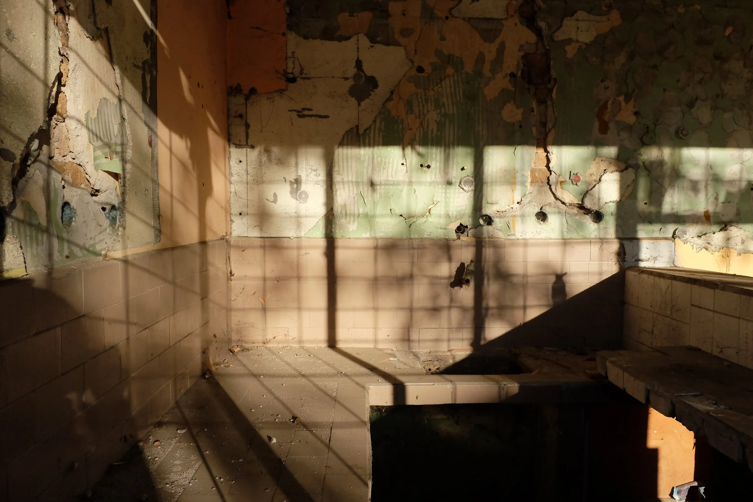 TEMPUS, MANUS CREATIVA.