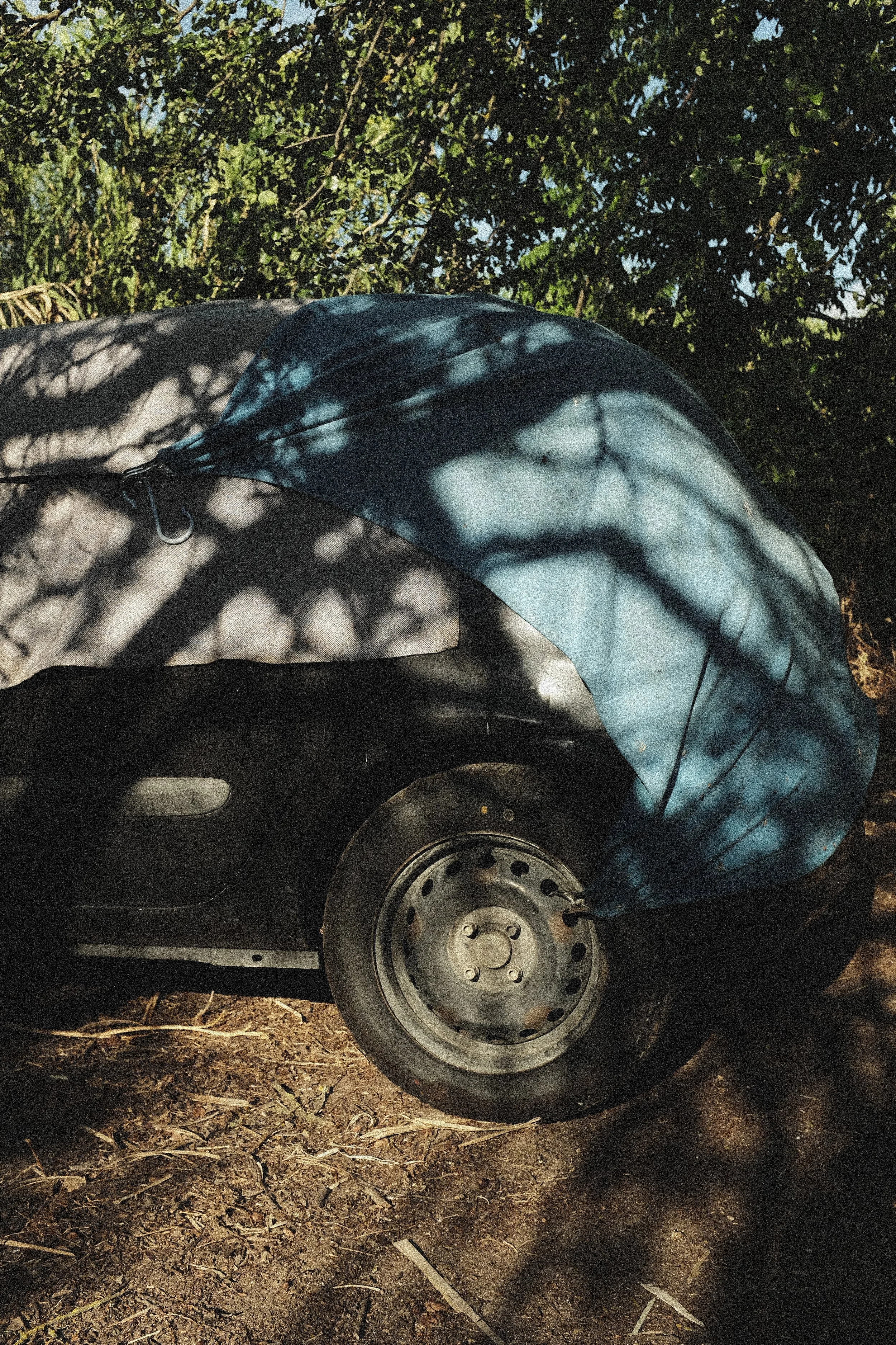 COCHE.jpg