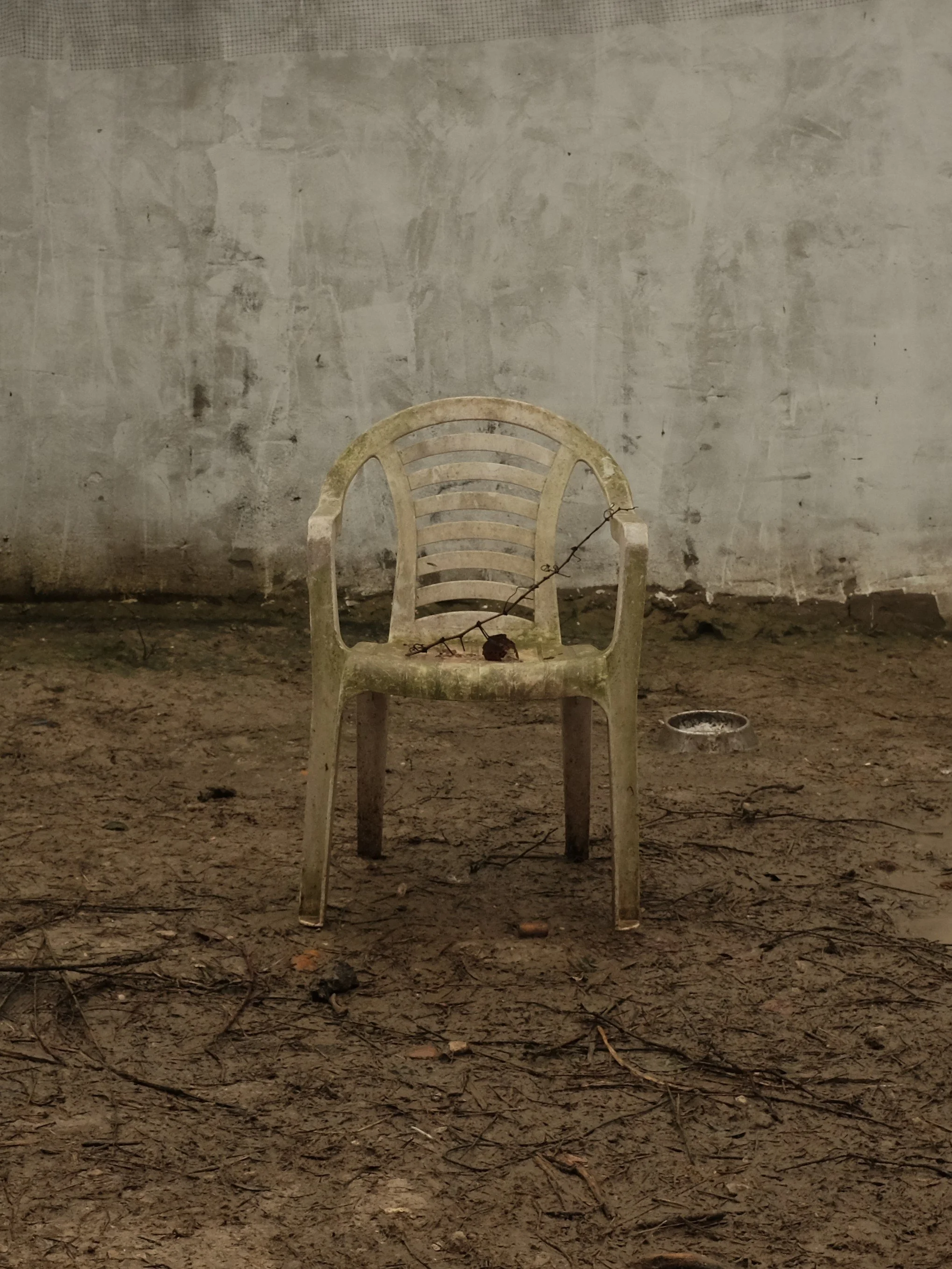 SILLA VIÑEDO.JPG