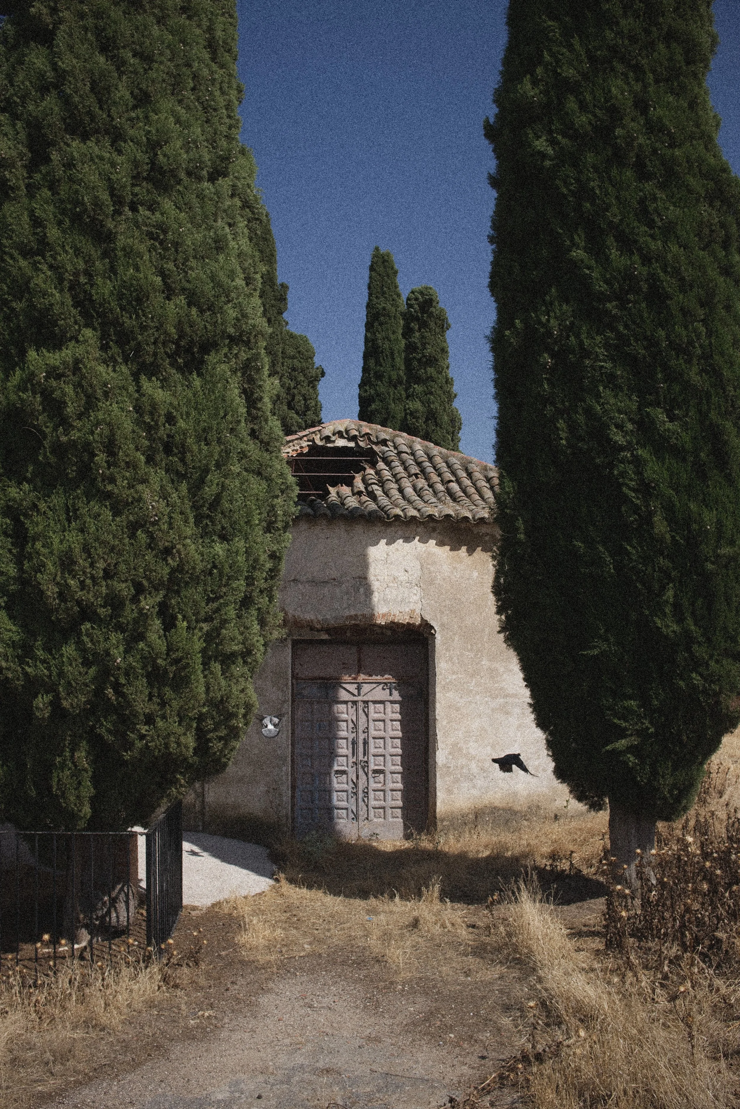 DSCF6697.jpg