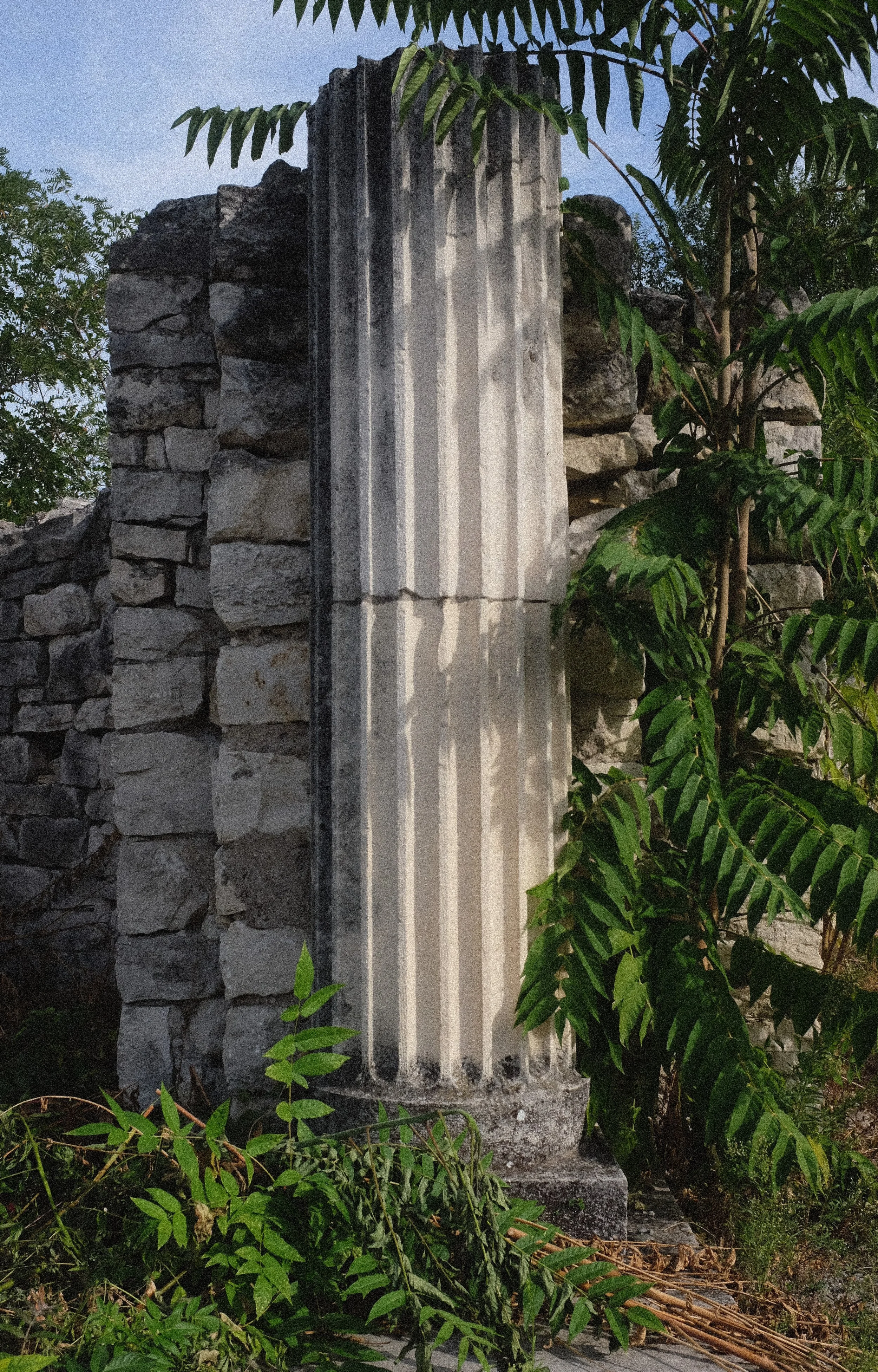 COLUMNA.jpg